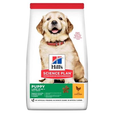 Hill's Science Plan Cane Puppy Large Breed Pollo