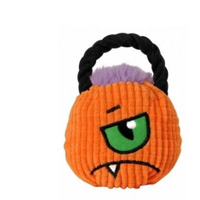 Camon Cane Gioco Halloween Zucca