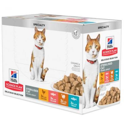 Hill's Feline Young Adult Sterilized Pack Multigusto Pollo, Salmone, Trota, Tacchino cf. (12x85) gr