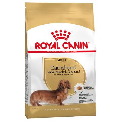 Royal Canin Cane Bassotto Dachshund Adulto