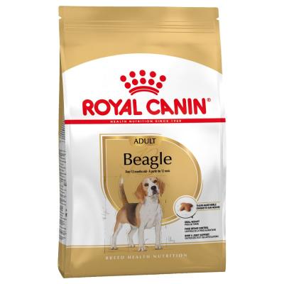 Royal Canin Cane Beagle Adulto