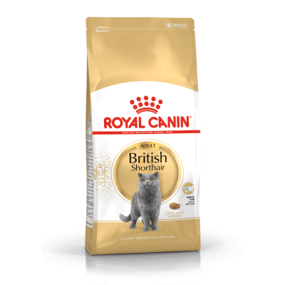 Royal Canin Gatto British Shorthair Adulto 2 Kg