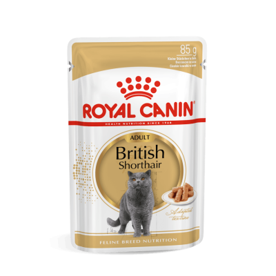 Royal Canin Gatto British Shorthair Adulto In Busta 85 Gr