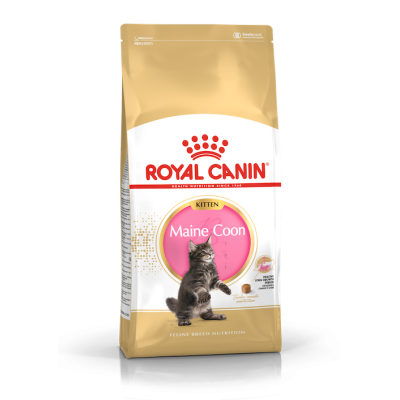 Royal Canin Gatto Norvegese Delle Foreste Adulto 2 Kg