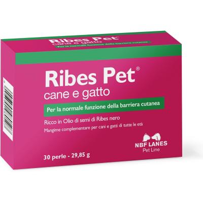 Ribes Pet Perle