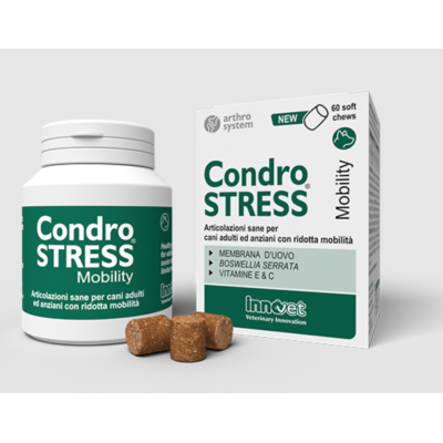 Condrostress Mobility