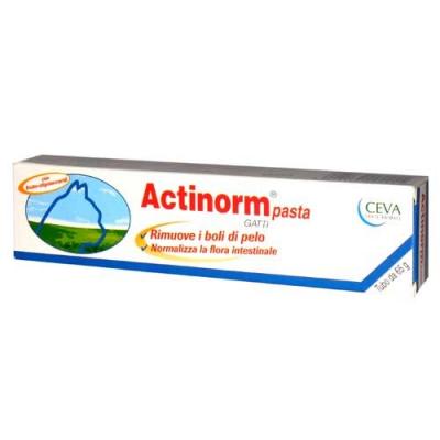 Actinorm Pasta Gatti 65 gr CEVA